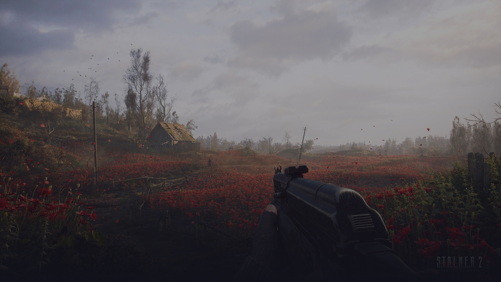 Stalker 2 background