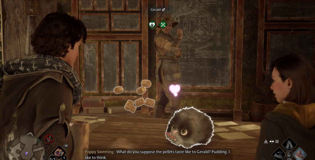 Student watching puffskein in Hogwarts Legacy classroom