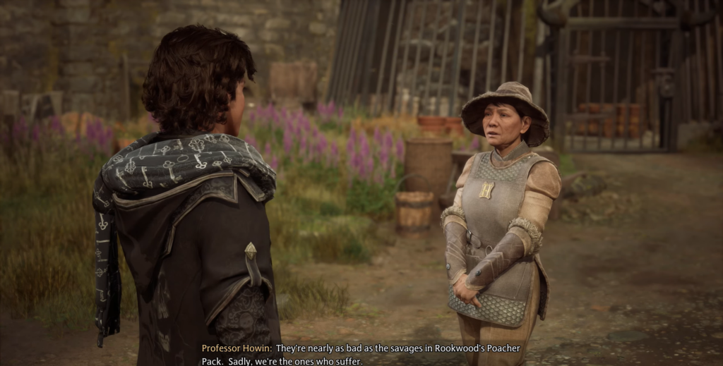 Professor Howin talks to student in Hogwarts Legacy courtyard