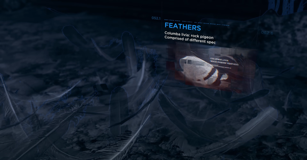 Feathers data display over scattered feathers on ground