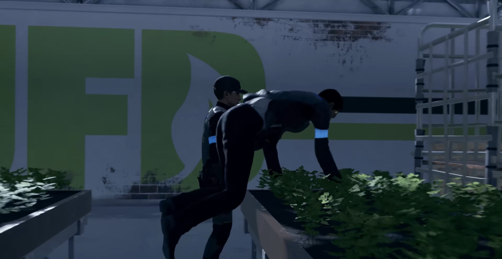 Two men tending plants in greenhouse facility