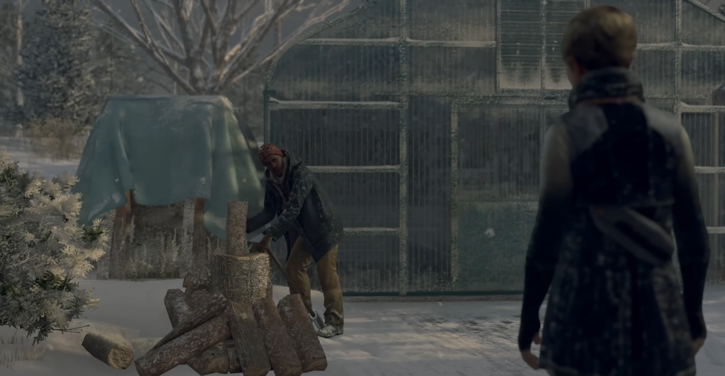 Person chopping wood outside greenhouse in snow