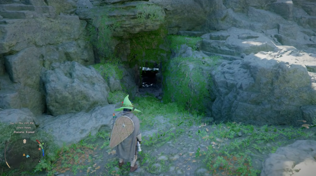 Wizard approaches cave entrance in rocky forest clearing