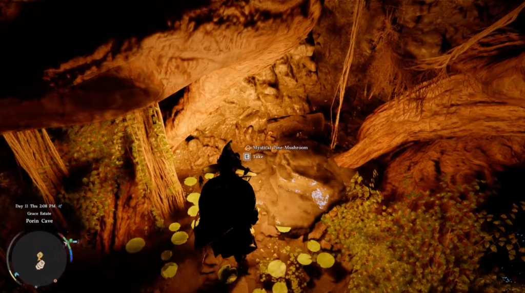 Player character collects mushroom in rocky cave