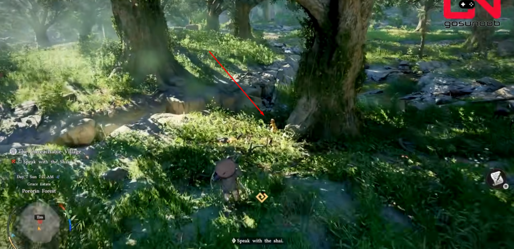 Player character walking through green forest in game