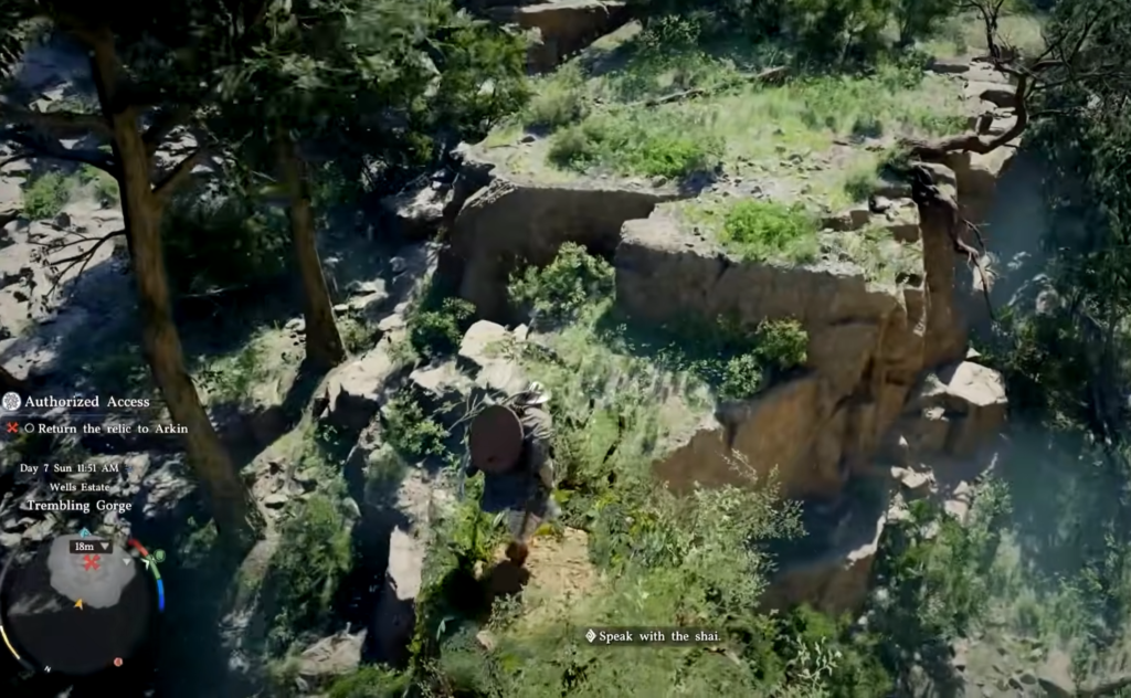 Player character stands on rocky cliff in forest